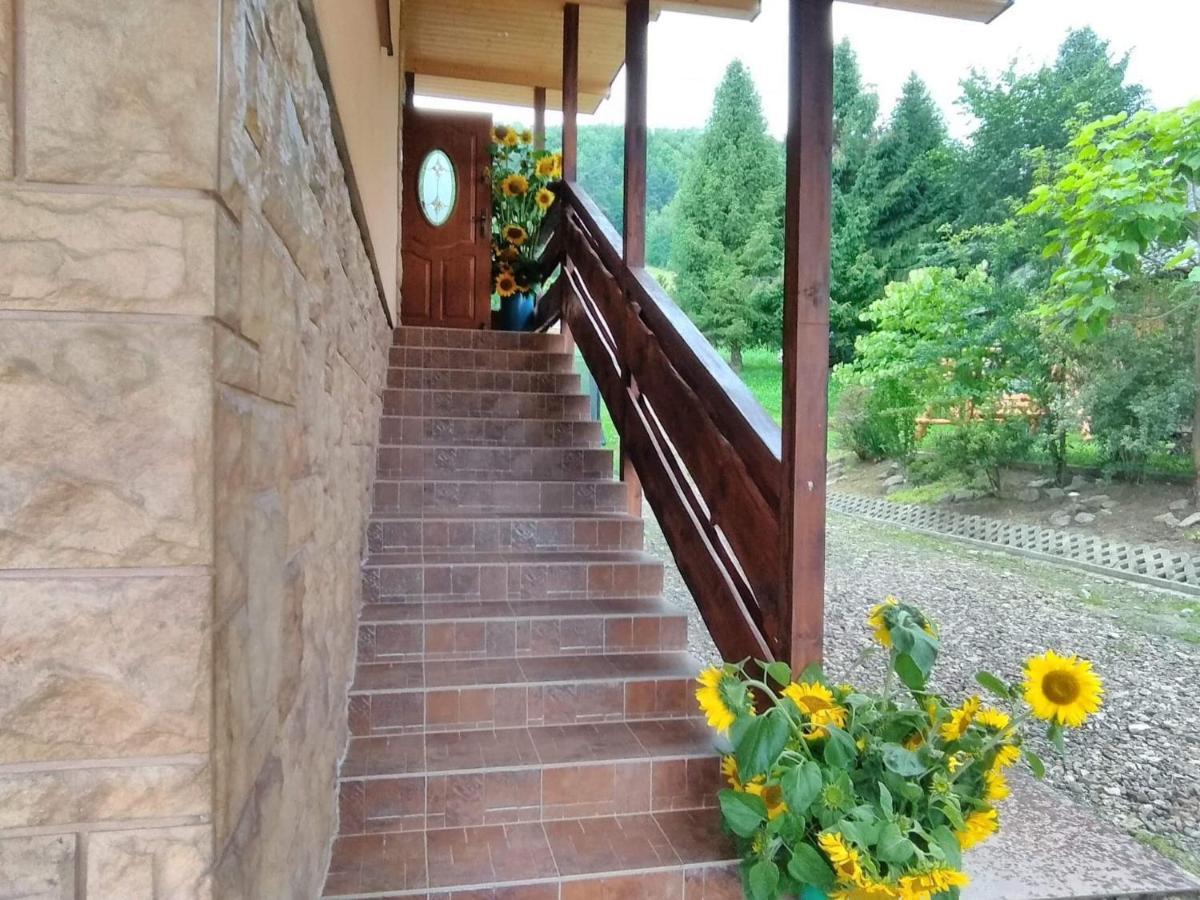 Noclegi Pod Lasem Solina 20 Dış mekan fotoğraf