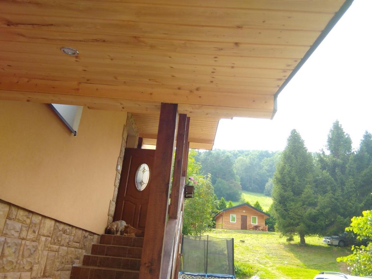 Noclegi Pod Lasem Solina 20 Dış mekan fotoğraf